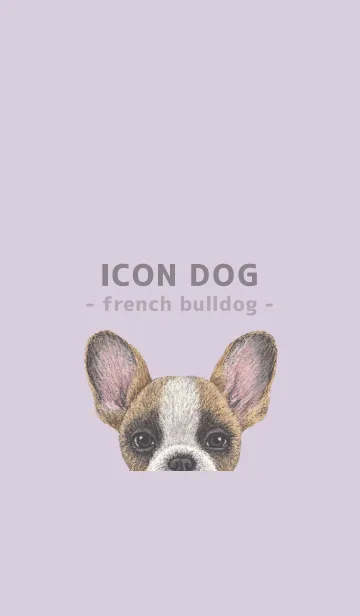 [LINE着せ替え] ICON DOG - フレンチブルドッグ - PL/02の画像1