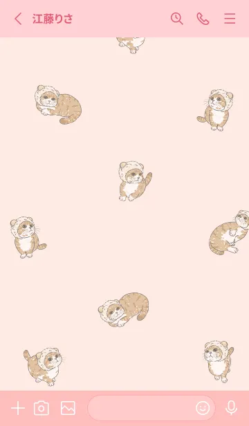 [LINE着せ替え] gingercat10 / peach pink .jpの画像2