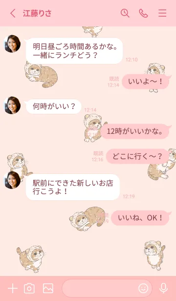 [LINE着せ替え] gingercat10 / peach pink .jpの画像3