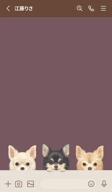 [LINE着せ替え] ワンワン！- チワワ L - ダスティローズの画像2