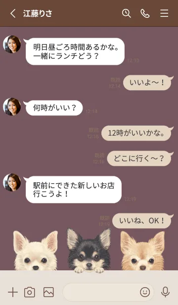 [LINE着せ替え] ワンワン！- チワワ L - ダスティローズの画像3