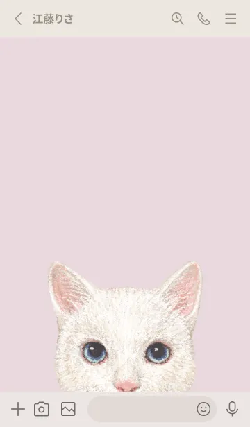 [LINE着せ替え] ICON CAT - ミックス - PASTEL PK/12の画像2