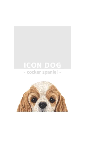 [LINE着せ替え] ICON DOG - コッカー - GRAY/04の画像1