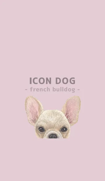 [LINE着せ替え] ICON DOG - フレンチブルドッグ - PK/03の画像1