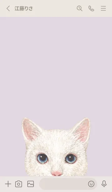 [LINE着せ替え] ICON CAT - ミックス - PASTEL PL/12の画像2