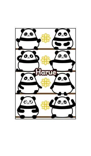 [LINE着せ替え] はるえ★まんまるカワイイ♥パンダの画像1