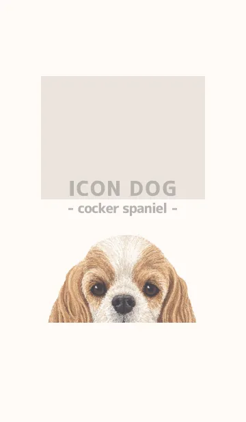 [LINE着せ替え] ICON DOG - コッカー - BEIGE/04の画像1