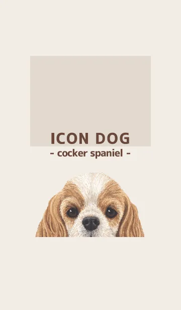 [LINE着せ替え] ICON DOG - コッカー - BROWN/04の画像1