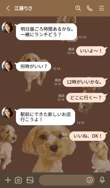 [LINE着せ替え] 犬のまるちゃん(実写)の画像3