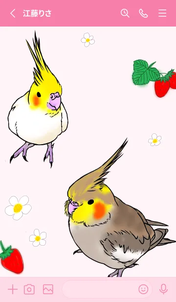 [LINE着せ替え] オカメインコとストロベリーの画像2