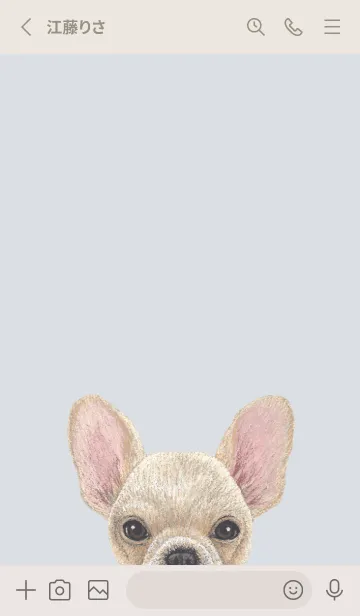 [LINE着せ替え] ICON DOG - フレンチブルドッグ - BL/03の画像2