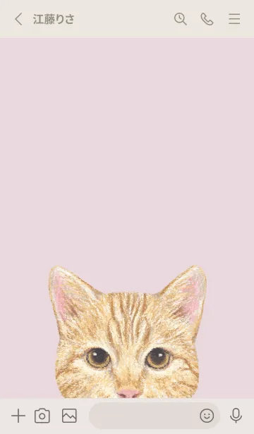 [LINE着せ替え] ICON CAT - ミックス - PASTEL PK/13の画像2