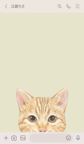 [LINE着せ替え] ICON CAT - ミックス - PASTEL YE/13の画像2