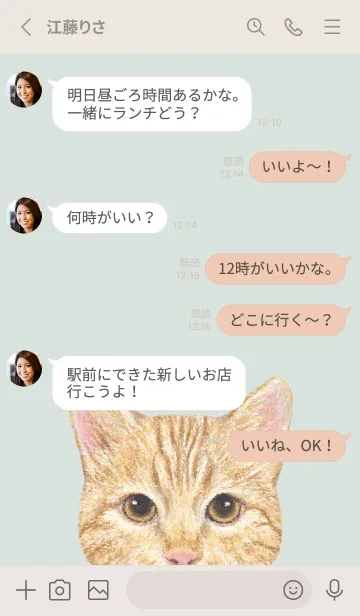 [LINE着せ替え] ICON CAT - ミックス - PASTEL GR/13の画像3