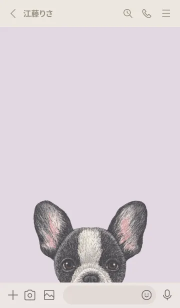 [LINE着せ替え] ICON DOG - フレンチブルドッグ - PL/04の画像2