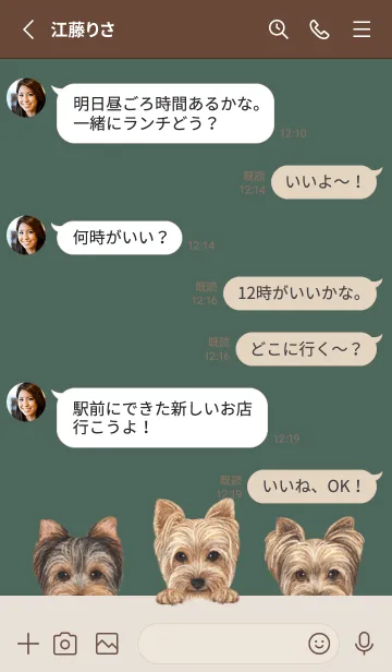 [LINE着せ替え] ヨーキー - ダスティダークグリーンの画像3