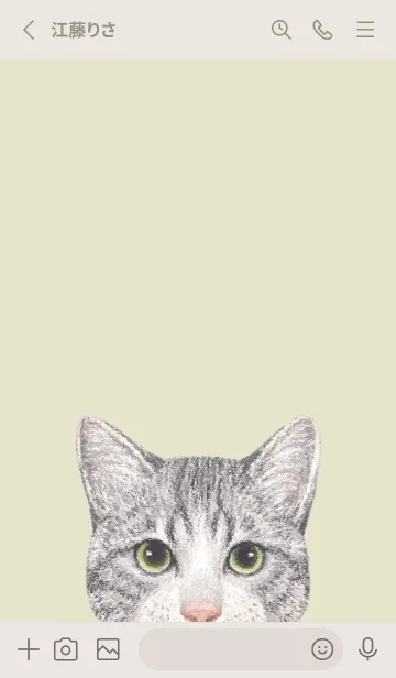 [LINE着せ替え] ICON CAT - ミックス - PASTEL YE/14の画像2