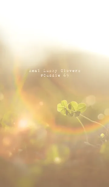 [LINE着せ替え] 本物ラッキークローバーズ #Cuddle 69の画像1