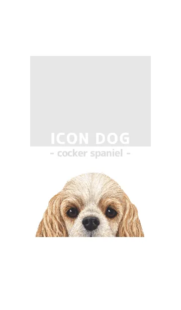 [LINE着せ替え] ICON DOG - コッカー - GRAY/06の画像1