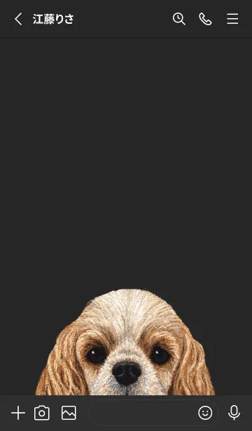 [LINE着せ替え] ICON DOG - コッカー - BLACK/06の画像2