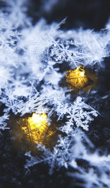 雪の結晶と星の光 49の着せ替えメイン画像