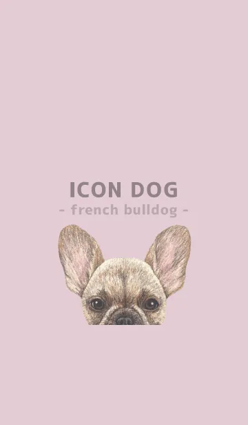 [LINE着せ替え] ICON DOG - フレンチブルドッグ - PK/05の画像1