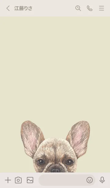 [LINE着せ替え] ICON DOG - フレンチブルドッグ - YE/05の画像2