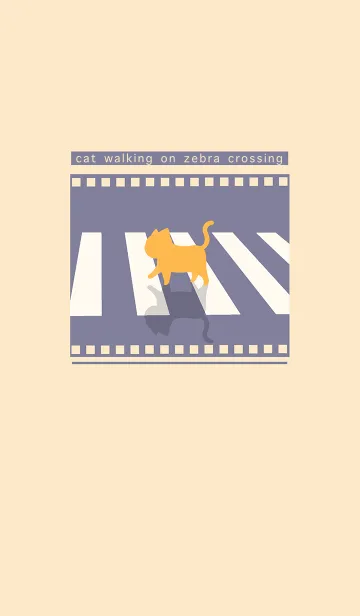 cat zebra crossing J-gray purple. orangeの着せ替えメイン画像