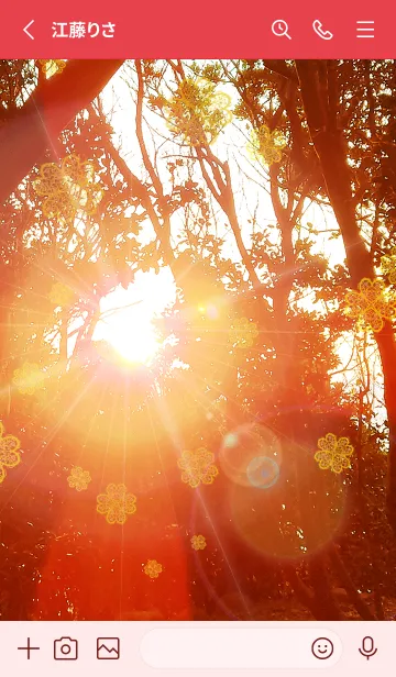 [LINE着せ替え] ＊運気最強＊太陽の浄化木漏れ日2の画像2