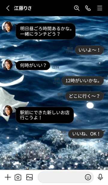 [LINE着せ替え] 夜の月 月の海 #DkY_28。の画像3