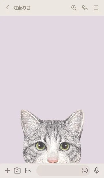 [LINE着せ替え] ICON CAT - ミックス - PASTEL PL/14の画像2