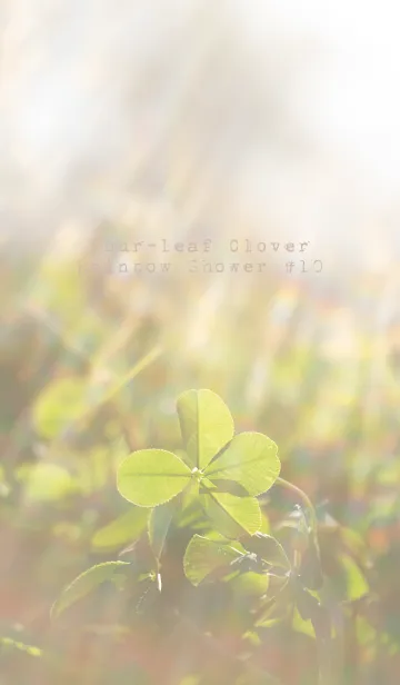 [LINE着せ替え] 四つ葉のクローバーと虹のシャワー #10の画像1