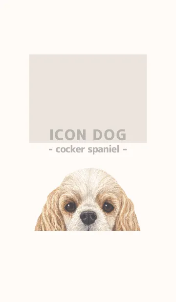 [LINE着せ替え] ICON DOG - コッカー - BEIGE/06の画像1