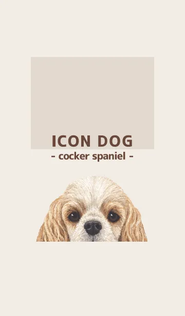 [LINE着せ替え] ICON DOG - コッカー - BROWN/06の画像1