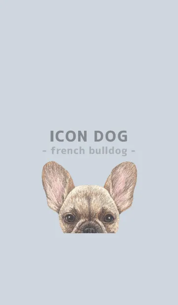 [LINE着せ替え] ICON DOG - フレンチブルドッグ - BL/05の画像1