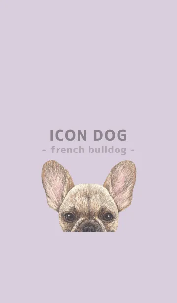 [LINE着せ替え] ICON DOG - フレンチブルドッグ - PL/05の画像1