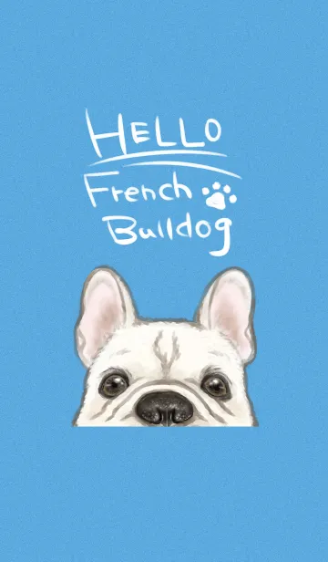 [LINE着せ替え] HELLO French Bulldogの画像1