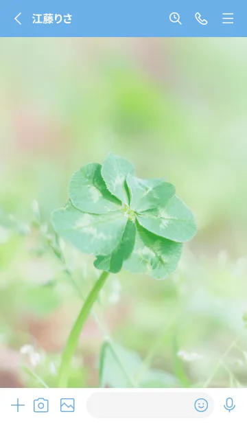 [LINE着せ替え] 無限の幸福 七つ葉のクローバー #22の画像2