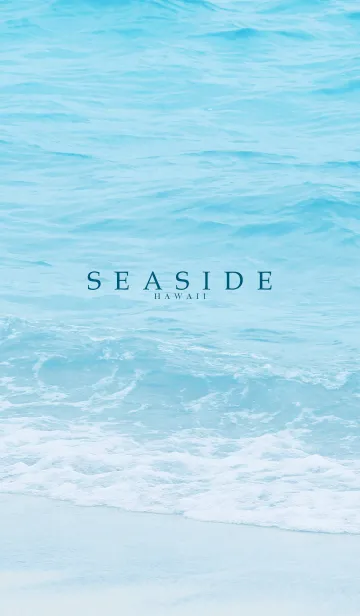 [LINE着せ替え] SEASIDE-HAWAII.MEKYM 12の画像1