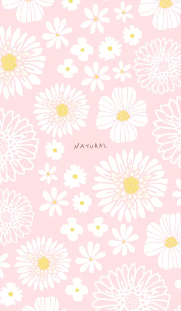 [LINE着せ替え] 色々な白い花30の画像1