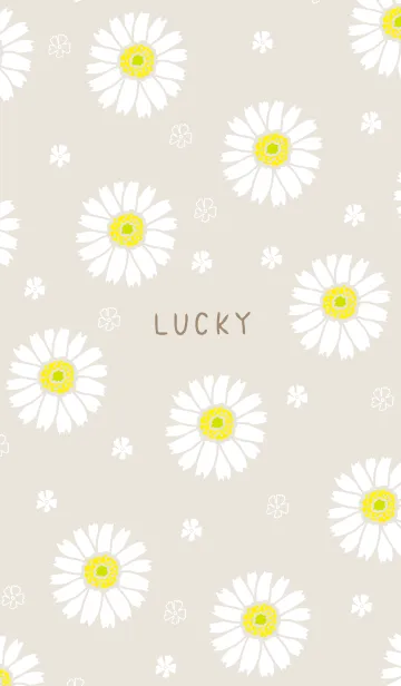 [LINE着せ替え] 白いガーベラ16の画像1