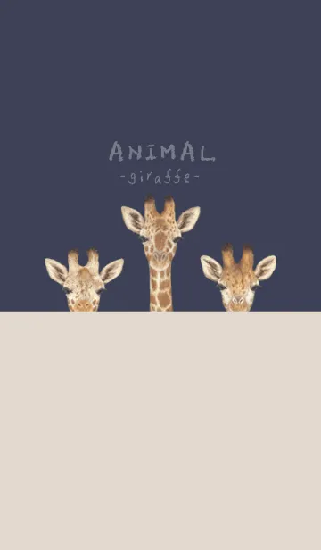 [LINE着せ替え] ANIMAL - キリン - ダスティネイビーの画像1
