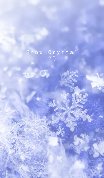 [LINE着せ替え] 雪の結晶 #5の画像1