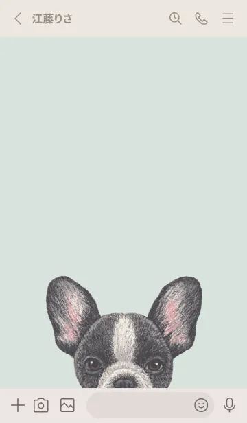 [LINE着せ替え] ICON DOG - フレンチブルドッグ - GR/06の画像2