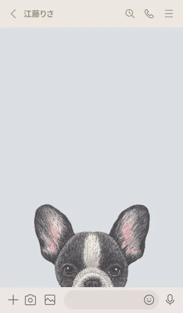 [LINE着せ替え] ICON DOG - フレンチブルドッグ - BL/06の画像2