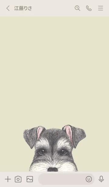 [LINE着せ替え] ICON DOG - シュナウザー - PASTEL YE/01の画像2