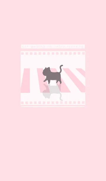 [LINE着せ替え] cat zebra crossing J-Ash (Pi4)の画像1