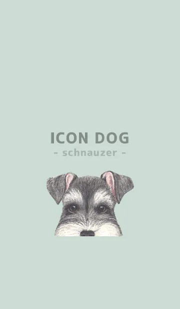 [LINE着せ替え] ICON DOG - シュナウザー - PASTEL GR/01の画像1