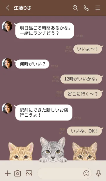 [LINE着せ替え] 猫 - ミックス 03 - ダスティローズの画像3