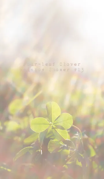 [LINE着せ替え] 四つ葉のクローバーと虹のシャワー #13の画像1